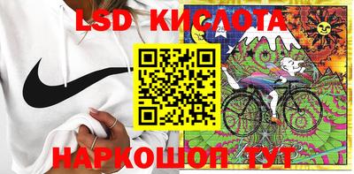 прущие грибы Бийск