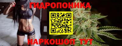 прущие грибы Бийск
