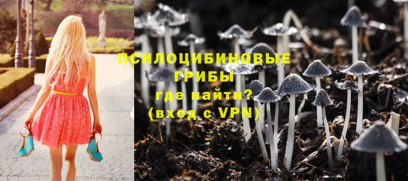 ссылка на мегу ТОР  Лениногорск  Галлюциногенные грибы MAGIC MUSHROOMS 