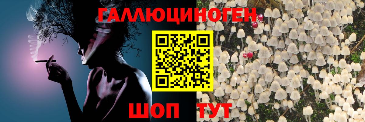 Галлюциногенные грибы MAGIC MUSHROOMS Лениногорск