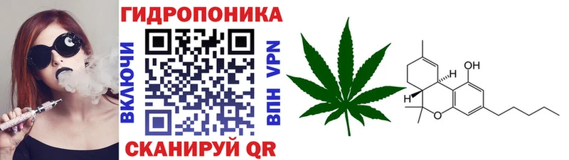 Шишки марихуана LSD WEED  купить закладку  Лениногорск 